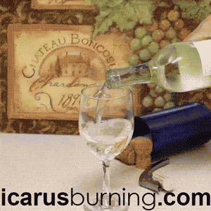 GIF showing how to keep your wine cold without watering it down